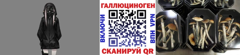Псилоцибиновые грибы мицелий  Ясногорск 
